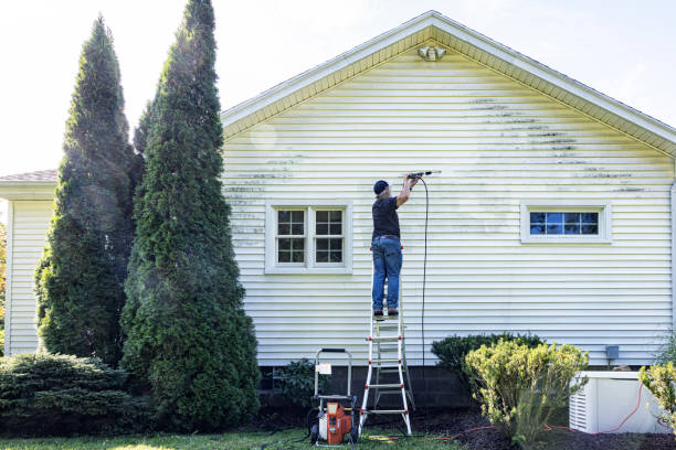 Best Boat and Dock Cleaning  in Athens, WV